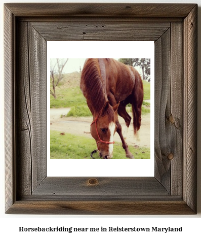 horseback riding near me in Reisterstown, Maryland